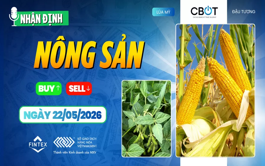 NHẬN ĐỊNH THỊ TRƯỜNG NÔNG SẢN NGÀY 22/05/2026
